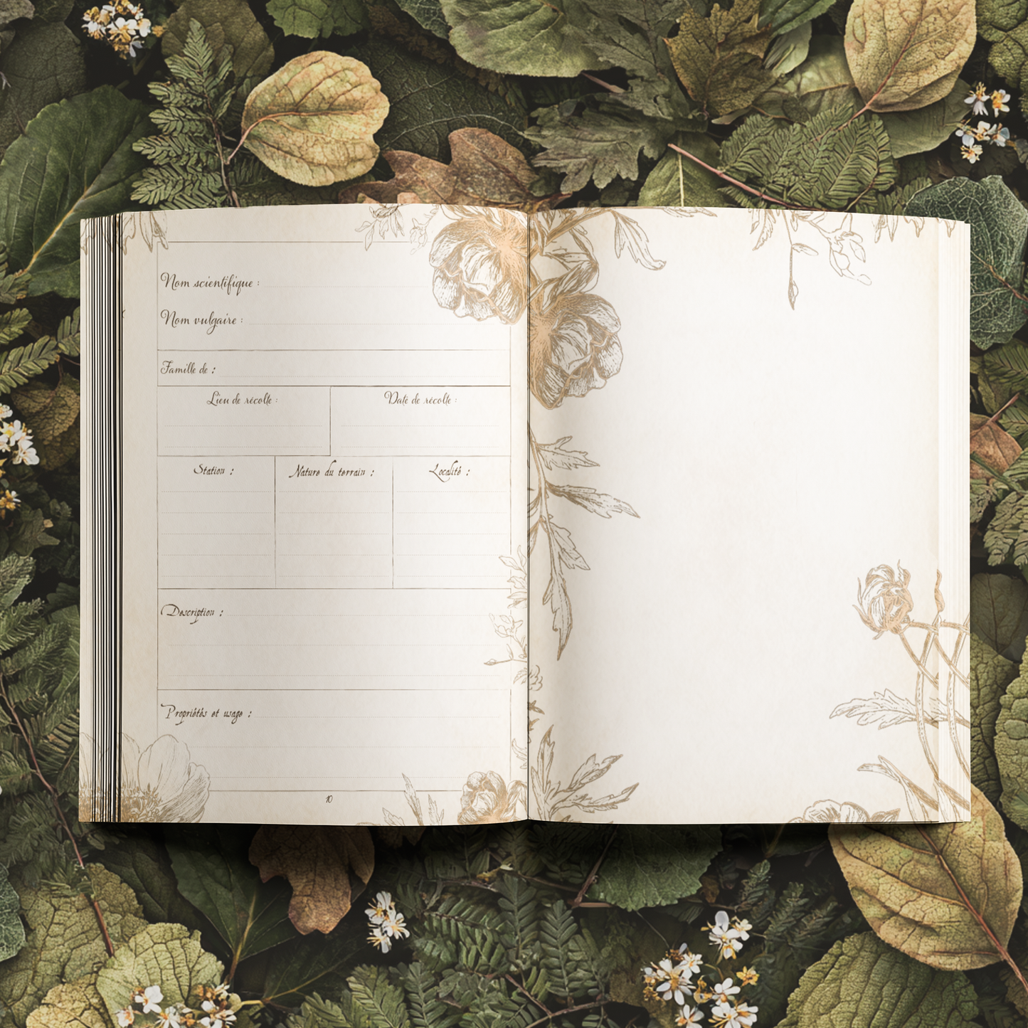 Herbier à remplir – 50 fiches + 3 planches d’étiquettes offertes